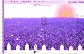 饺子面剩下做什么游戏画面