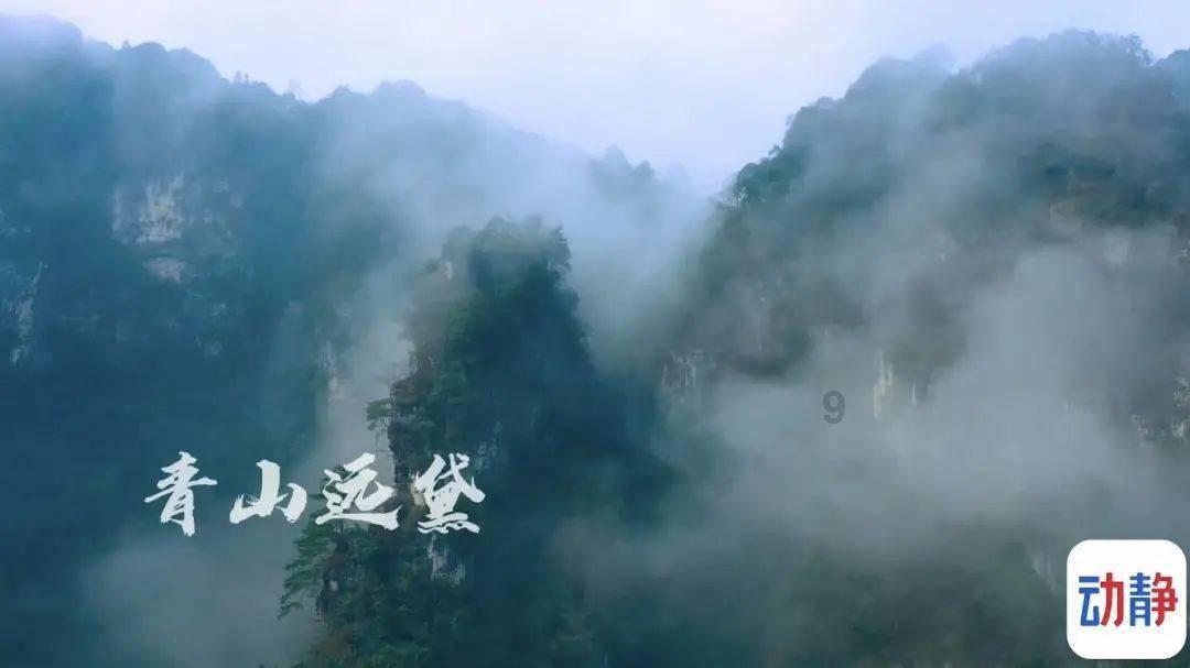 妙鸭相机app下载官网